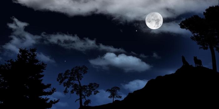 1920x1080 Wolf Howling at the Moon Wallpaper (66+ images)