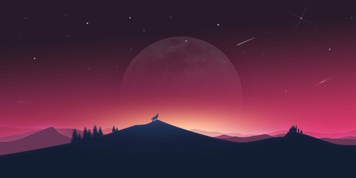 3840x2160 2048x1152 Wolf Howling To Moon 2048x1152 Resolution HD 4k Wallpapers