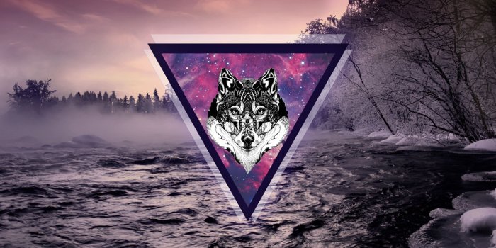 2560x1440 Galaxy Wolf Wallpaper (26+ images) on Genchi.info