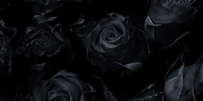 1148x1467 Sana:) on Love black | Black wallpaper iphone, Rose wallpaper