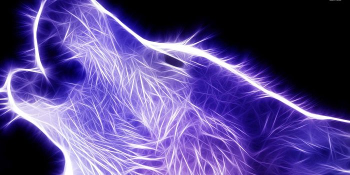 1920x1080 Cool Wolf Wallpaper on MarkInternational.info