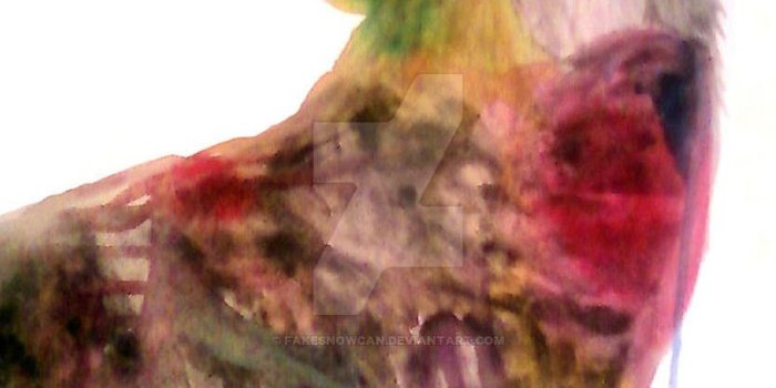 800x1270 Most Design Ideas Trippy Wolf Wallpaper Galaxy Pictures, And