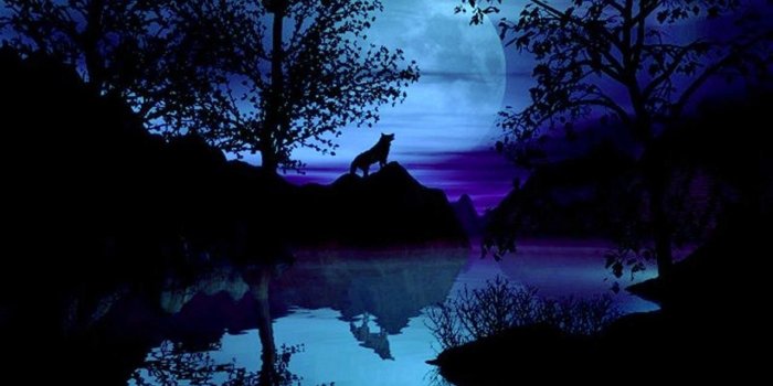 1280x800 3d Wolf Wallpapers - Witch Moon (#369021) - HD Wallpaper Download