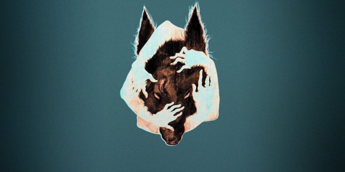 1920x1200 Hipster Wolf Wallpapers - Top Free Hipster Wolf Backgrounds