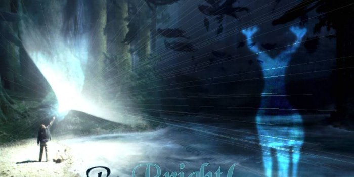 1024x768 Patronus Wallpapers