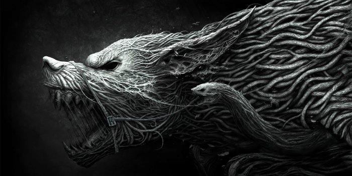 2560x1600 Cool and amazing wallpapers Gallery