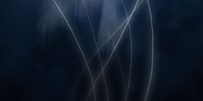 736x1216 Patronus Wallpapers