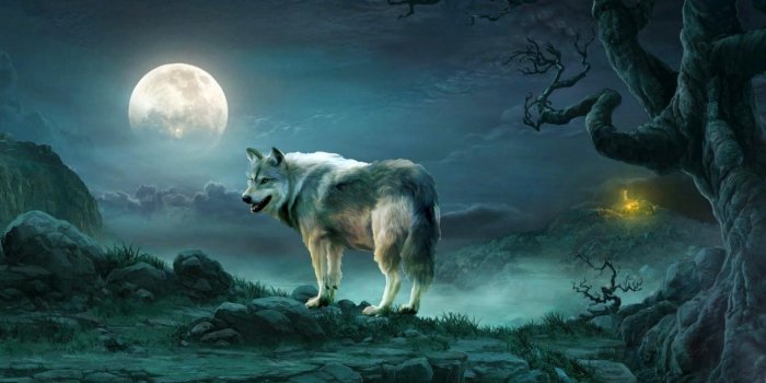 1920x1080 Wallpaper Wolf Moon | Wallpapersimages.org