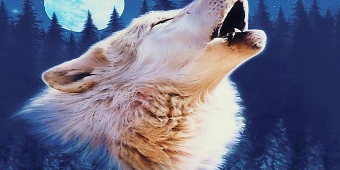 1400x1050 Wolf Moon Wallpapers ( Desktop Background