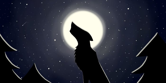 2560x1440 Download 2560x1440 Wallpaper Wolf, Moon, Dark, 4k, Minimal, Digital