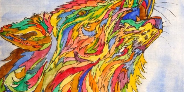 900x1285 Trippy Wolf Wallpaper 31620 | NEWSMOV