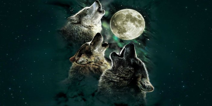 1920x1080 Three wolves with moon painting, digital art, wolf, Moon HD