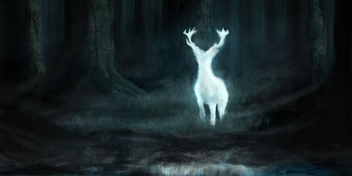 5100x3300 The Stag by Sampl3dBeans