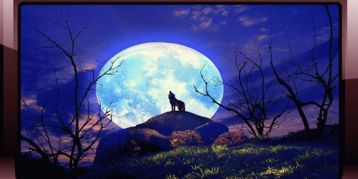 1280x720 Wolf Moon Wallpapers | Unique FHDQ Backgrounds