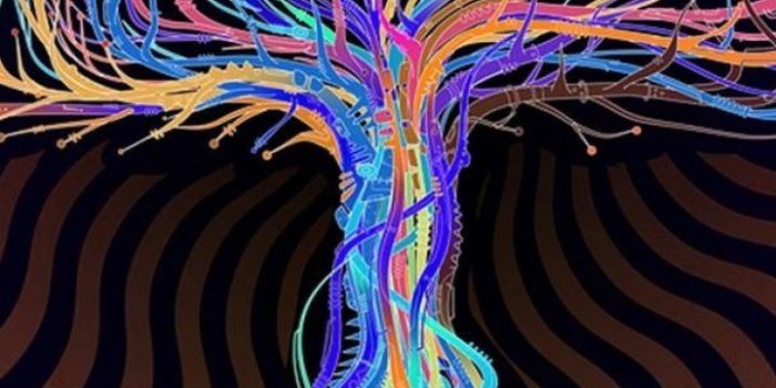 720x1280 Lsd Wallpaper Iphone 5 Lsd Wallpaper Tumblr