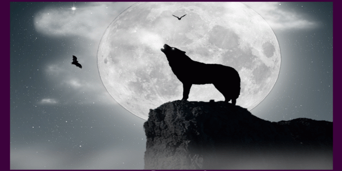 1280x720 Wolf Moon Wallpaper 2.6 APK Download - Android Personalization Apps