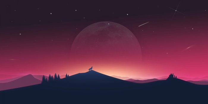 2560x1440 2560x1440 Wolf Howling To Moon 1440P Resolution HD 4k Wallpapers