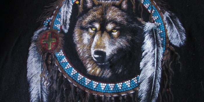 2272x1704 50+ Native American Spirit Wallpapers - Download at WallpaperBro