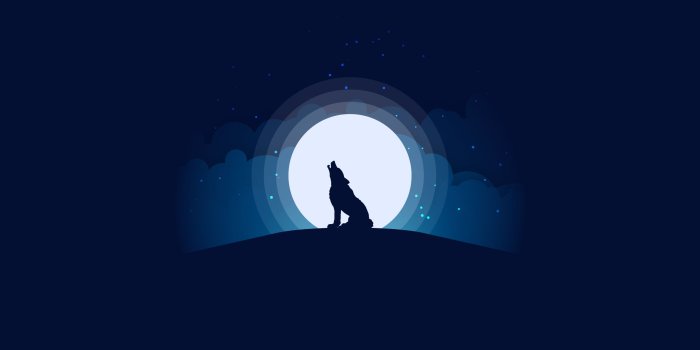 2560x1440 5100723 #Illustration, #HD, #Wolf, #Silhouette, #Moon | Other
