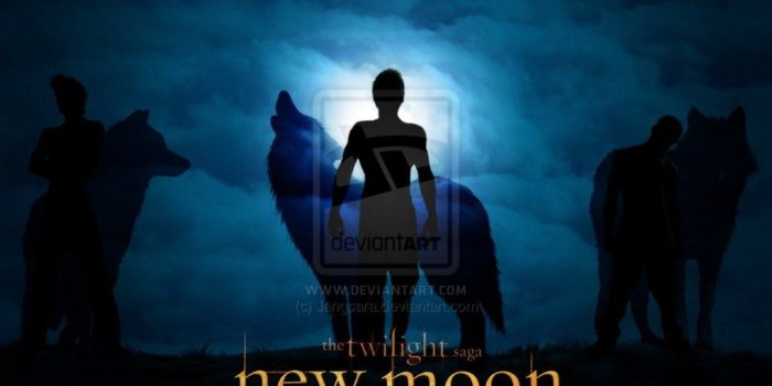 1083x738 new moon wallpaper - Twilight Wolves Photo (27001081) - Fanpop