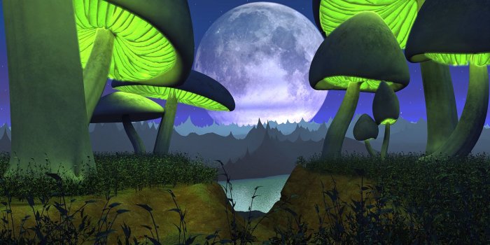 1440x900 3d Wallpapers Desktop Background « Firefox Wallpaper « Free Download