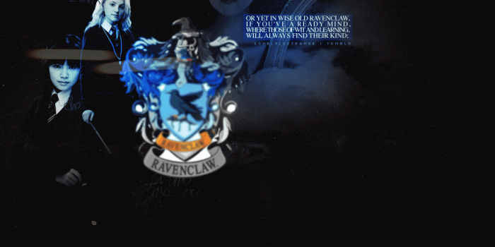 1024x768 Ravenclaw Images The Three Ravenclaw Girls Hd Wallpaper - Ravenclaw