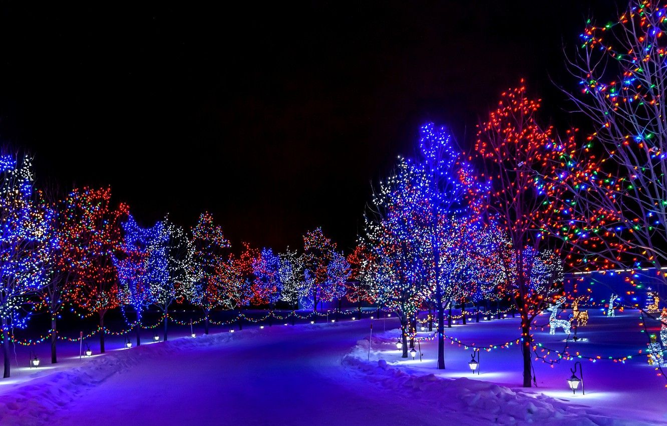 1332x850 Wallpaper winter, snow, decoration, trees, night, lights, lights