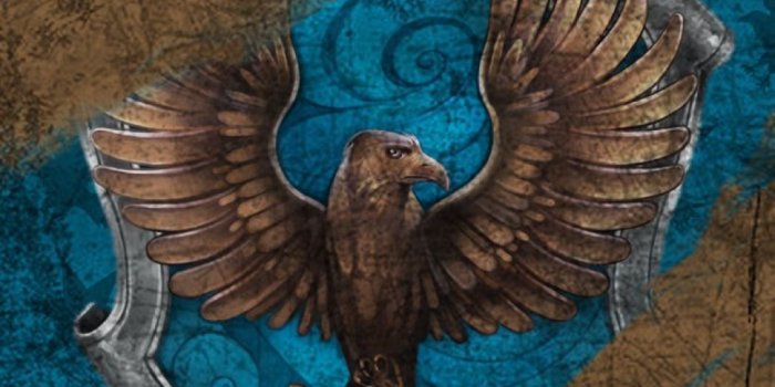 1080x1920 Ravenclaw iPhone Wallpapers - Top Free Ravenclaw iPhone Backgrounds
