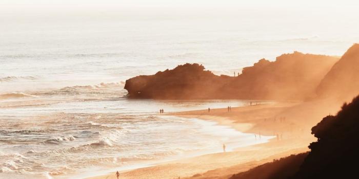 1600x500 Mac Wallpapers | Find your next Mac Wallpaper on Unsplash - Free to