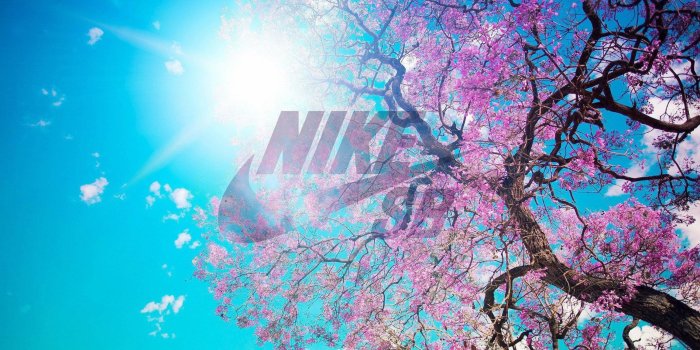 2304x1440 Download Nike Wallpaper For Girls (37+) - Free Wallpaper For your