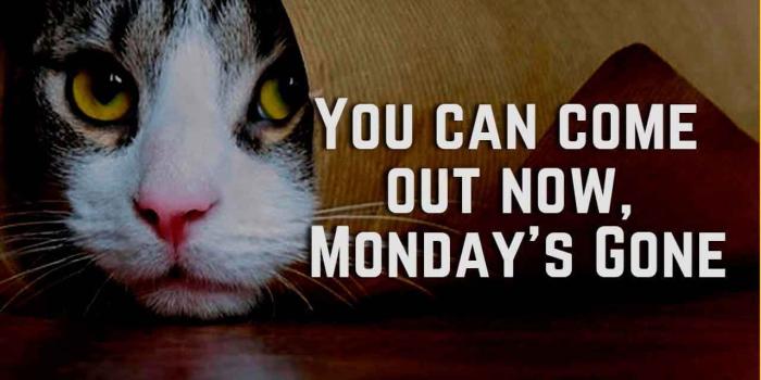 1280x800 Happy & Funny Tuesday Quotes With Images, Pictures | Happy Tuesday