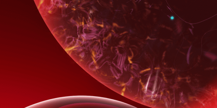 750x1624 live wallpapers – Unicorn Apps