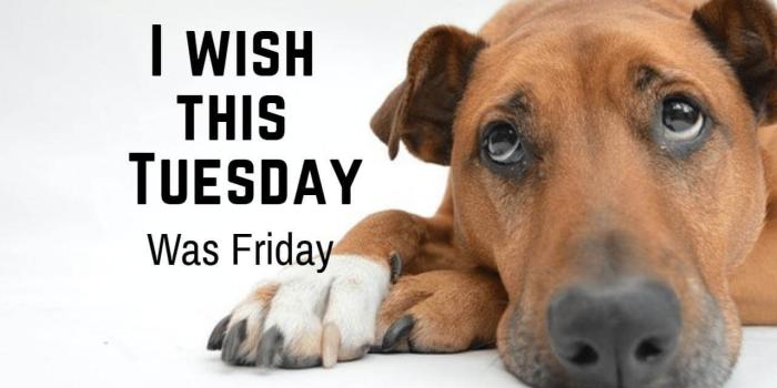 1280x800 Funny Tuesday Quotes to be Happy on Tuesday Morning | Happy Tuesday