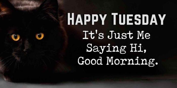 1280x800 Happy & Funny Tuesday Quotes With Images, Pictures | Happy Tuesday