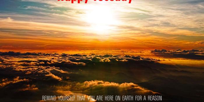 1024x768 131+ Tuesday Good Morning Quotes Images Pics for Whatsapp