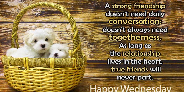 1920x1080 341+ Wednesday Good Morning Wishes Images Photo Pics Wallpaper HD