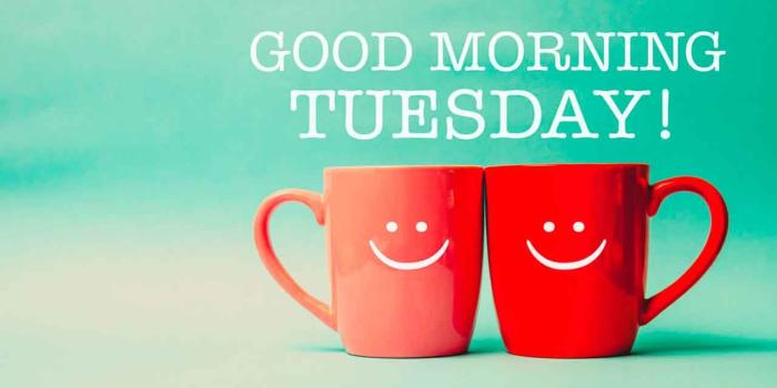 1280x800 Tuesday Funny Quotes - Jibb