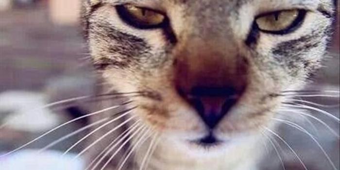 750x1124 Awesome The 8 Best Tuesday Memes inspiration | Stage Wallpaper