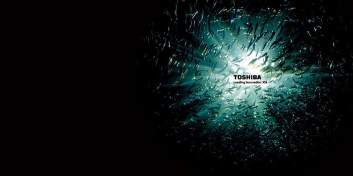 1280x800 Toshiba Desktop Backgrounds