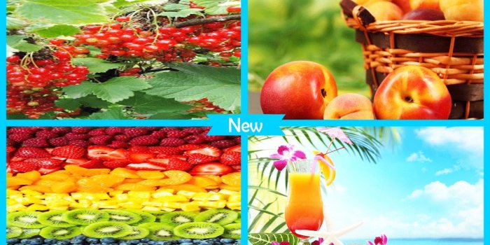 1280x720 Summer Fruits Wallpaper Free for Android - APK Download