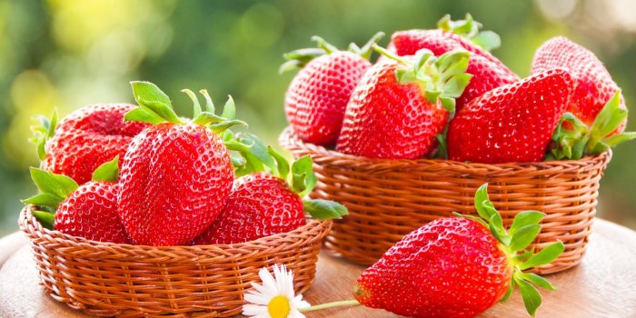 2560x1600 65+ Fruit Background Wallpapers on WallpaperPlay