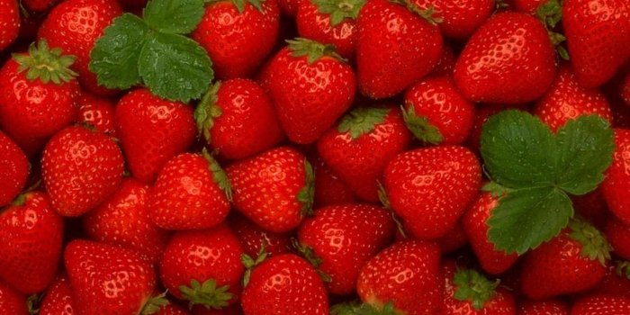 2560x1600 Red fruits summer strawberries wallpaper | 2560x1600 | 321433