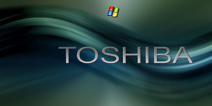 1366x768 Toshiba Wallpaper 17 - 1366 X 768