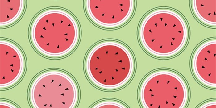 1008x1008 CSFOTO 8x8ft Background for Watermelon Slices Pattern Photography Backdrop  Summer Fruit Sweet Delicious Freshness Slice Chop Piece Party Decor