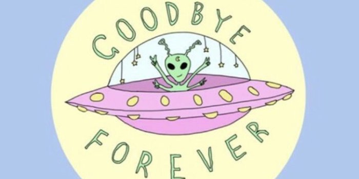 750x1112 meow meow go! on * perspectives in 2019 | Iphone 6 wallpaper