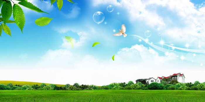 1920x1200 45+] High Definition Toshiba Wallpaper on WallpaperSafari