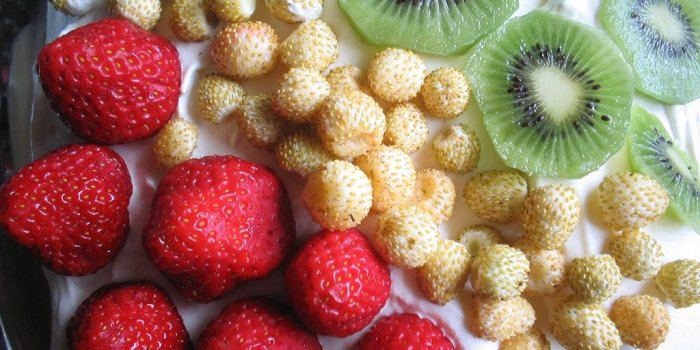 1024x768 Download Widescreen 16:9 1366x768 - Summer Fruit Wallpaper