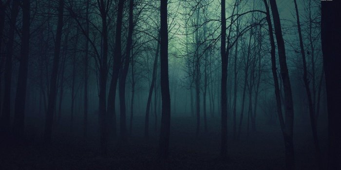 1920x1080 Dark Forest Wallpapers - Top Free Dark Forest Backgrounds