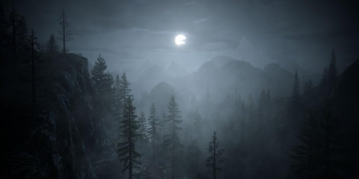 1500x844 BillyandTessa McGowan on Naturally Beautiful | Forest