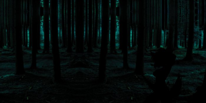 1920x1080 Dark Forest Wallpapers